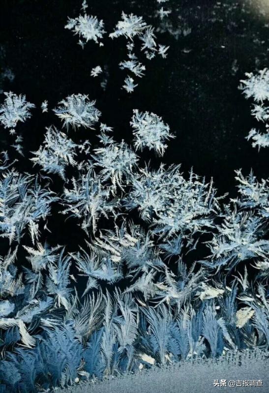 清晨玻璃窗上结满了霜花,唐古拉玻璃窗上的霜花