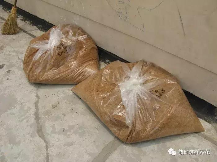 枕头芯掏1把扔盆里，透气不烂根，绿萝吊兰越长越疯，越长越旺