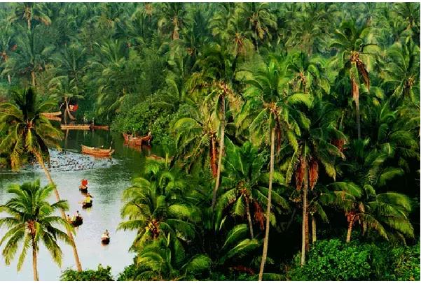 海南临高鬼岛视频,海南无人岛吓人吗