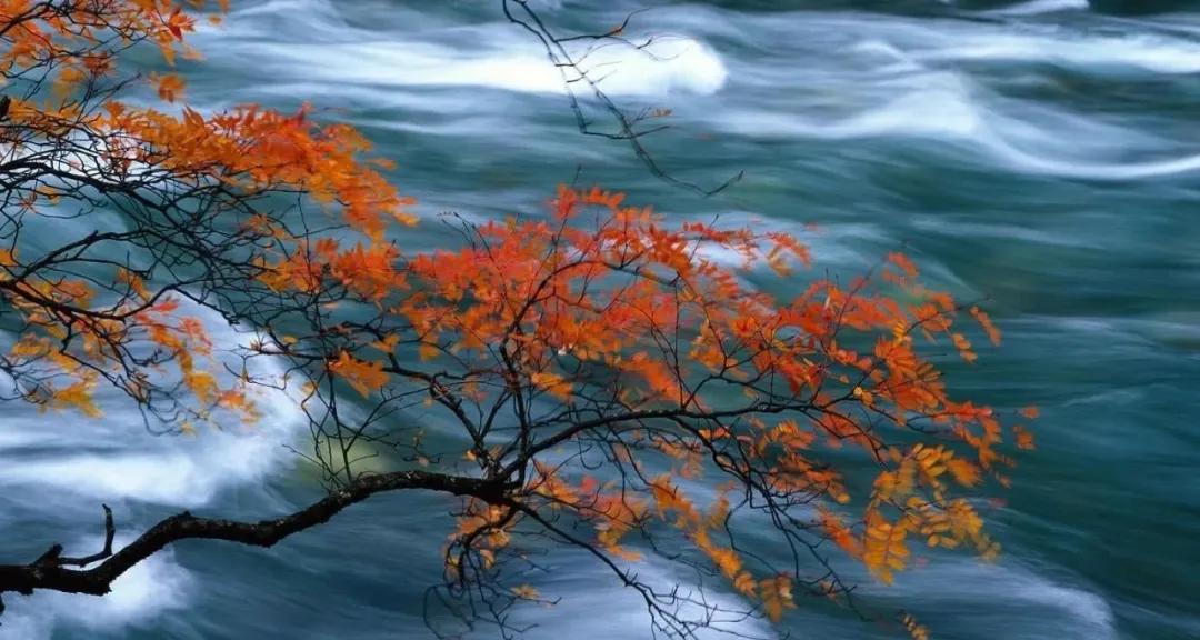 孙宏斌宏观微观中观,孙宏斌人格魅力