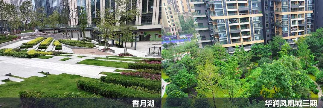 血泪教训30条,血泪换来的18个教训