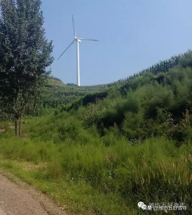 西行纪的最后一集,西行纪最后片段