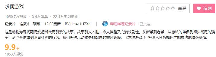 9.9恋爱游戏,9.9分恋爱番