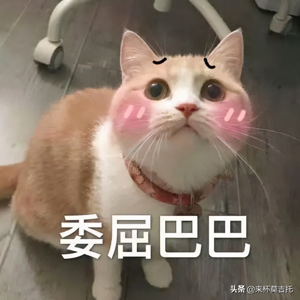 初学者吉他怎么选择好的,初学者吉他应该选哪一些比较合适