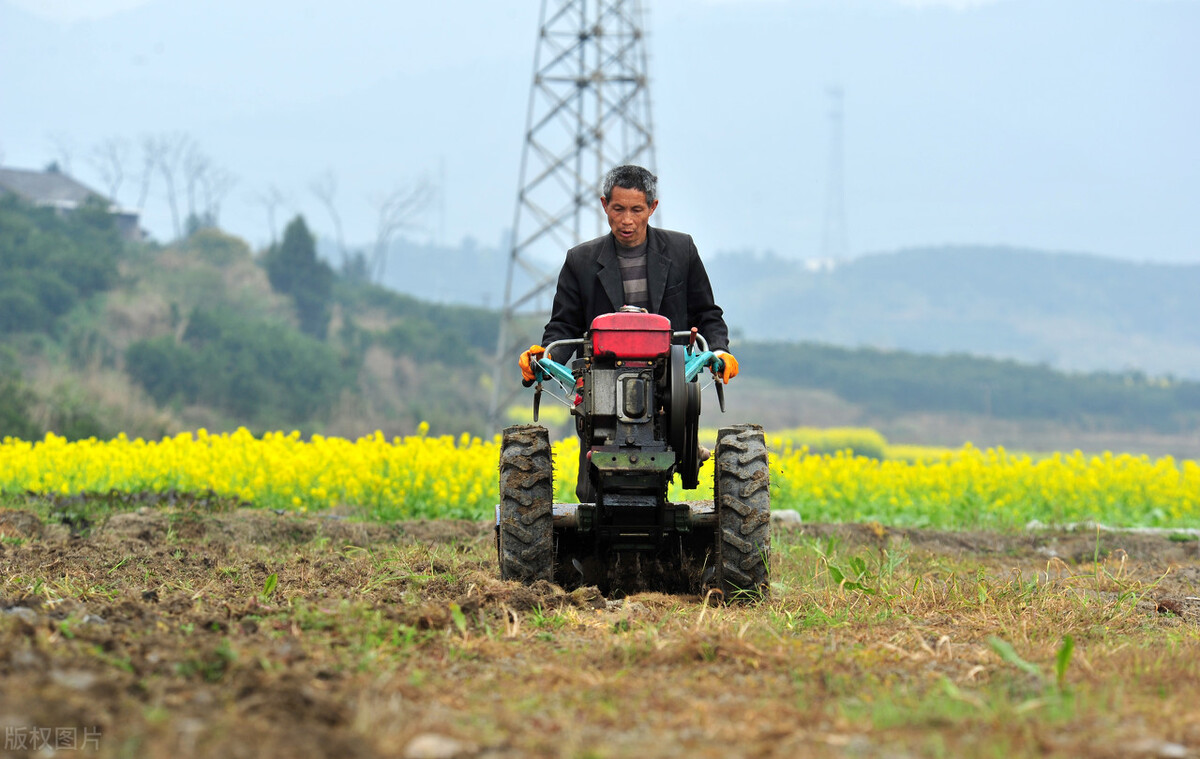 2021农民专业合作社农业补贴政策,广西农民种果树补贴新政策2021