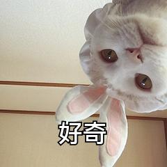 vivo花式截屏,vivo手机截屏该怎么操作呢