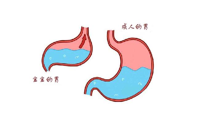 为什么宝宝拍嗝后还会吐奶,为什么给宝宝拍嗝还是会吐奶