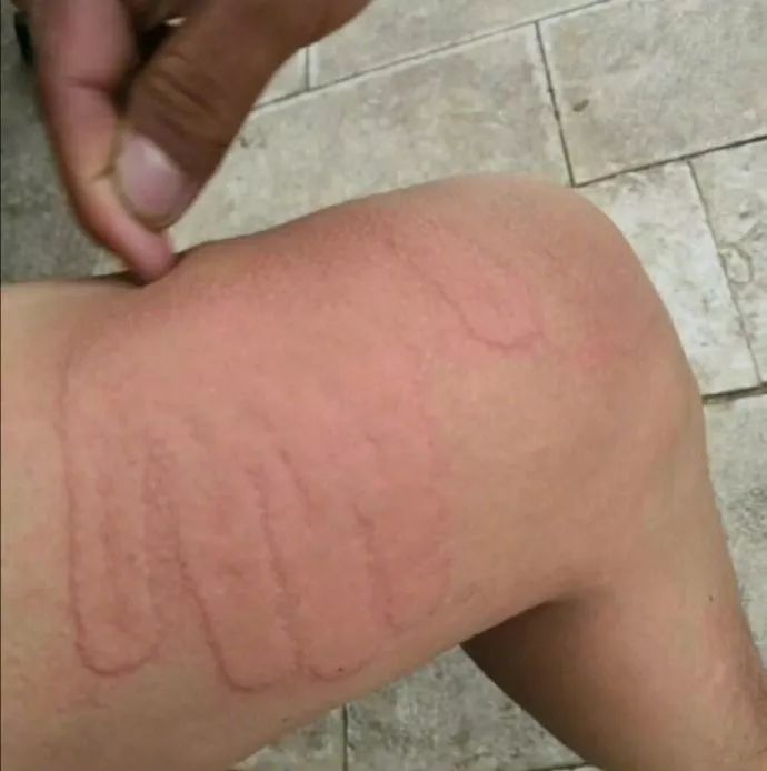 你们喝醉酒后，都干出什么事儿？哈哈哈哈哈哈哈哈哈