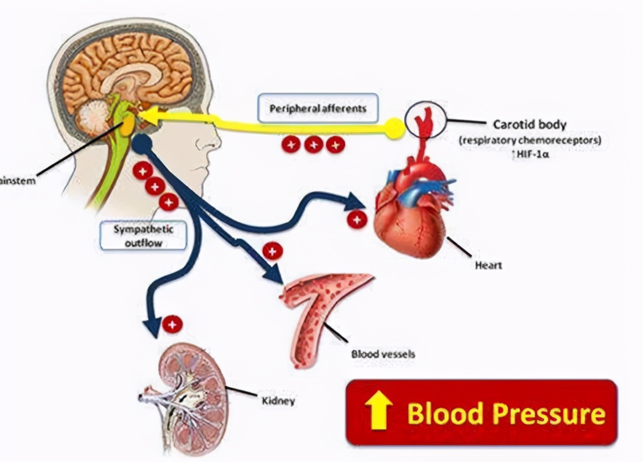 65岁糖尿病人血糖多少算正常,65岁血糖6.8空腹正常不