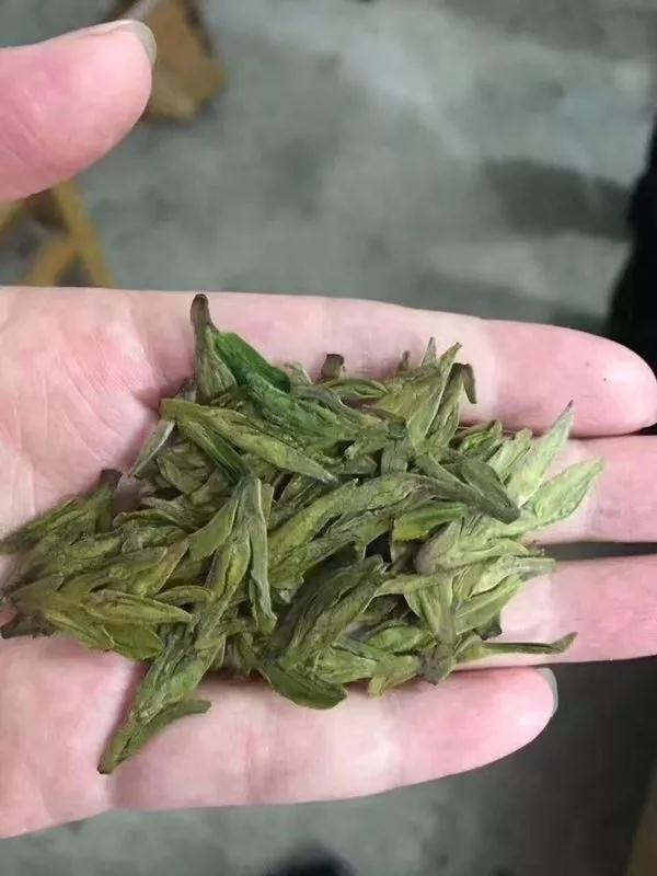 御野牌西湖龙井茶,杭州御野龙井茶价格