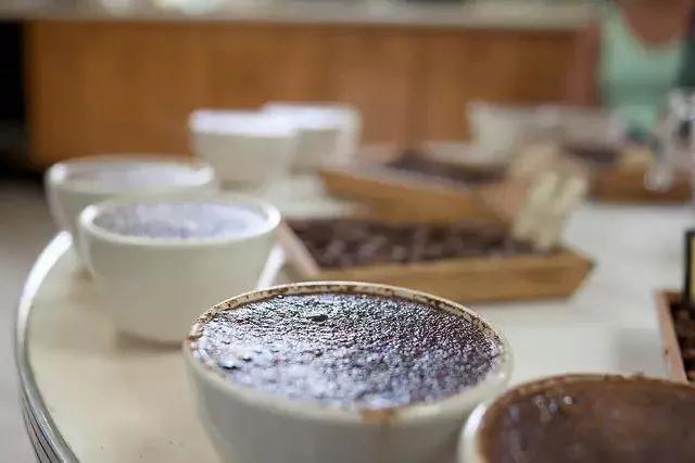 咖啡的蜜处理是怎样的,蜜处理咖啡冷萃