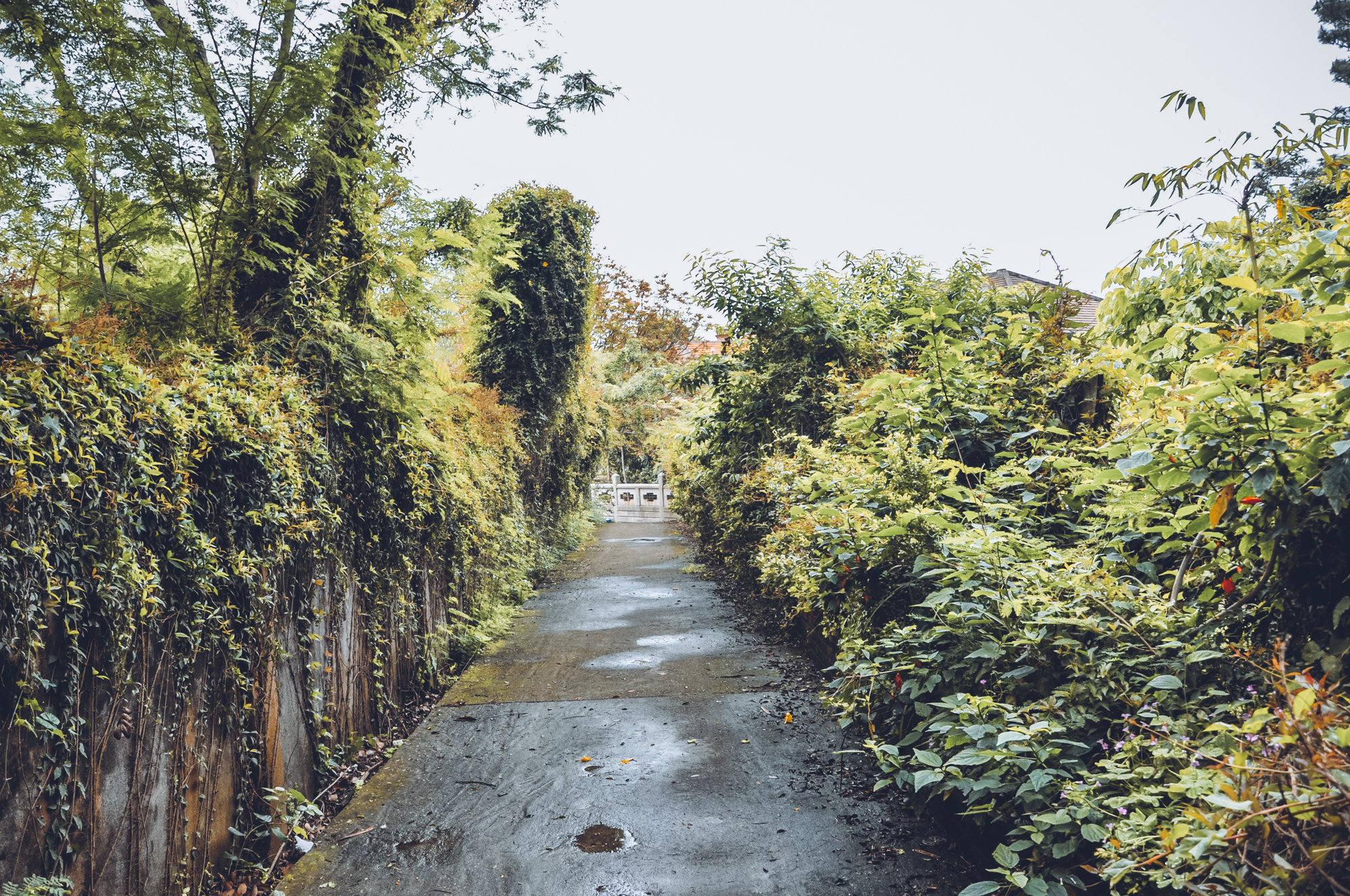 福州鼓浪屿商业化改造,鼓浪屿市井风情