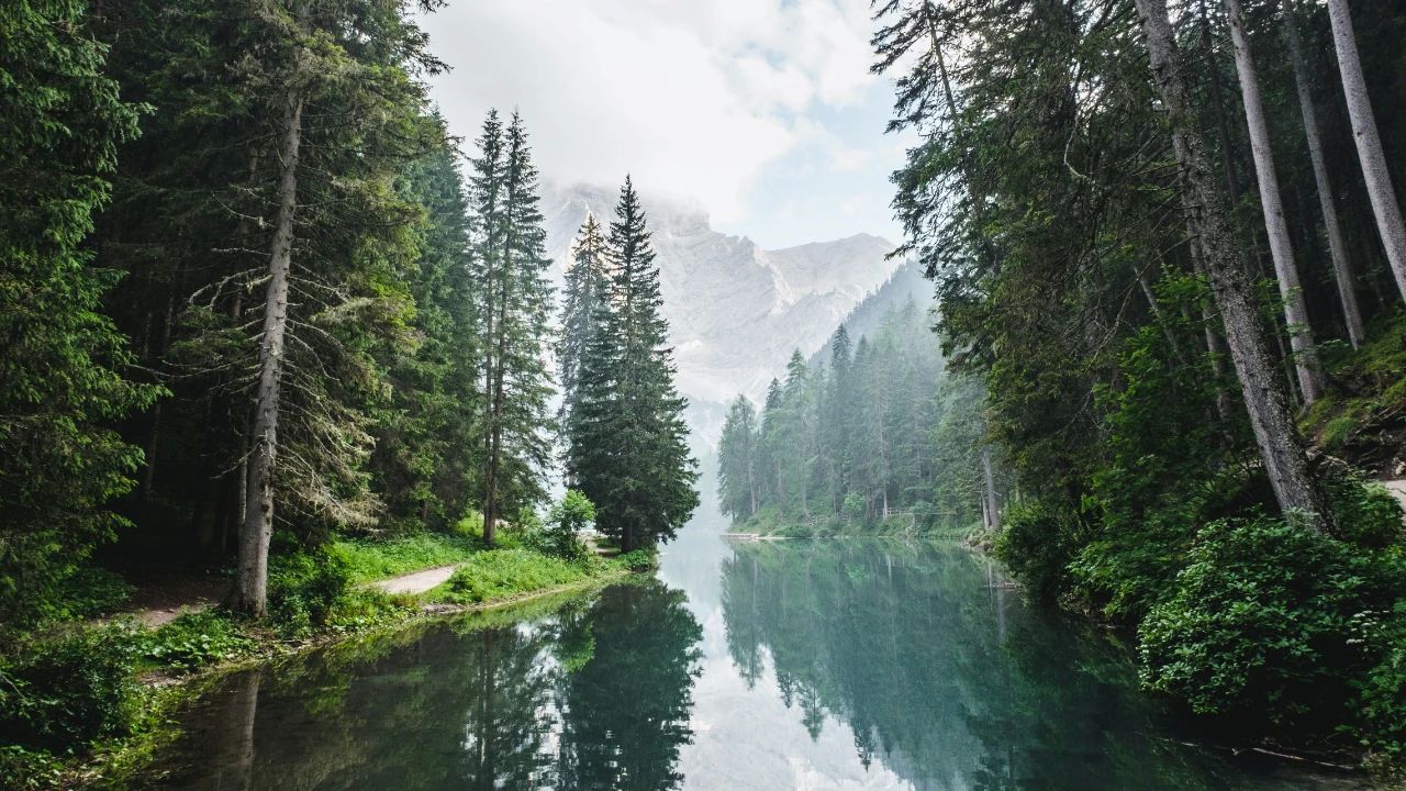 所谓的康养是真的吗,太顺太极