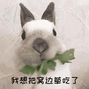 戴牙套真的会出现牙套脸,戴牙套期间牙齿变龅了