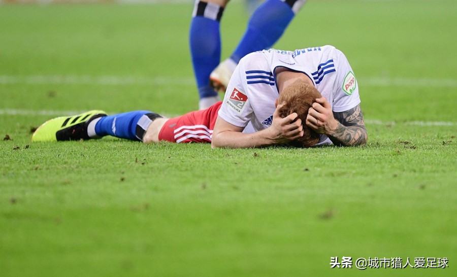 德甲50+1霍芬海姆,霍村老板霍普霍芬海姆