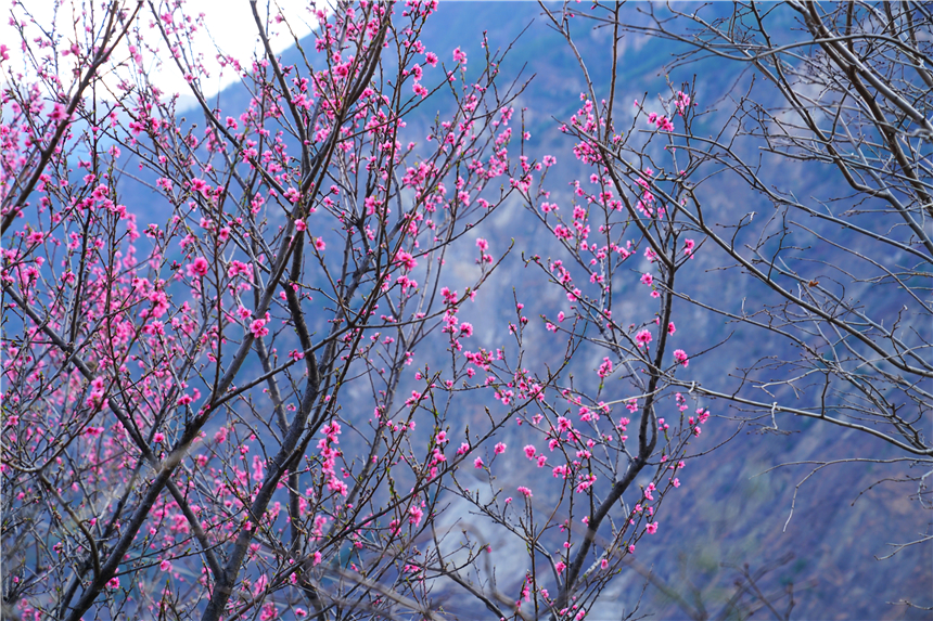 甘孜州有个很漂亮的村寨,甘孜州藏寨