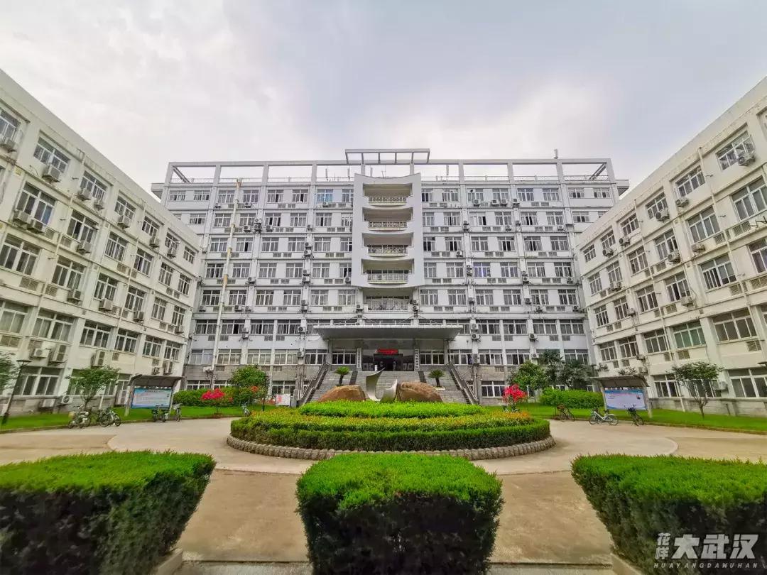 武汉科技大学的机械学院,武汉科技大学医学院和临床学院