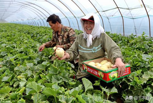返乡带娃的商机,农村创业赚钱商机