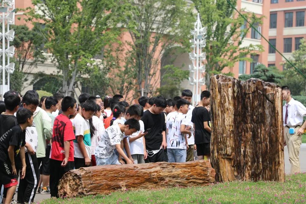 这所学校怎么样用英语怎么说,这所学校怎么样英文