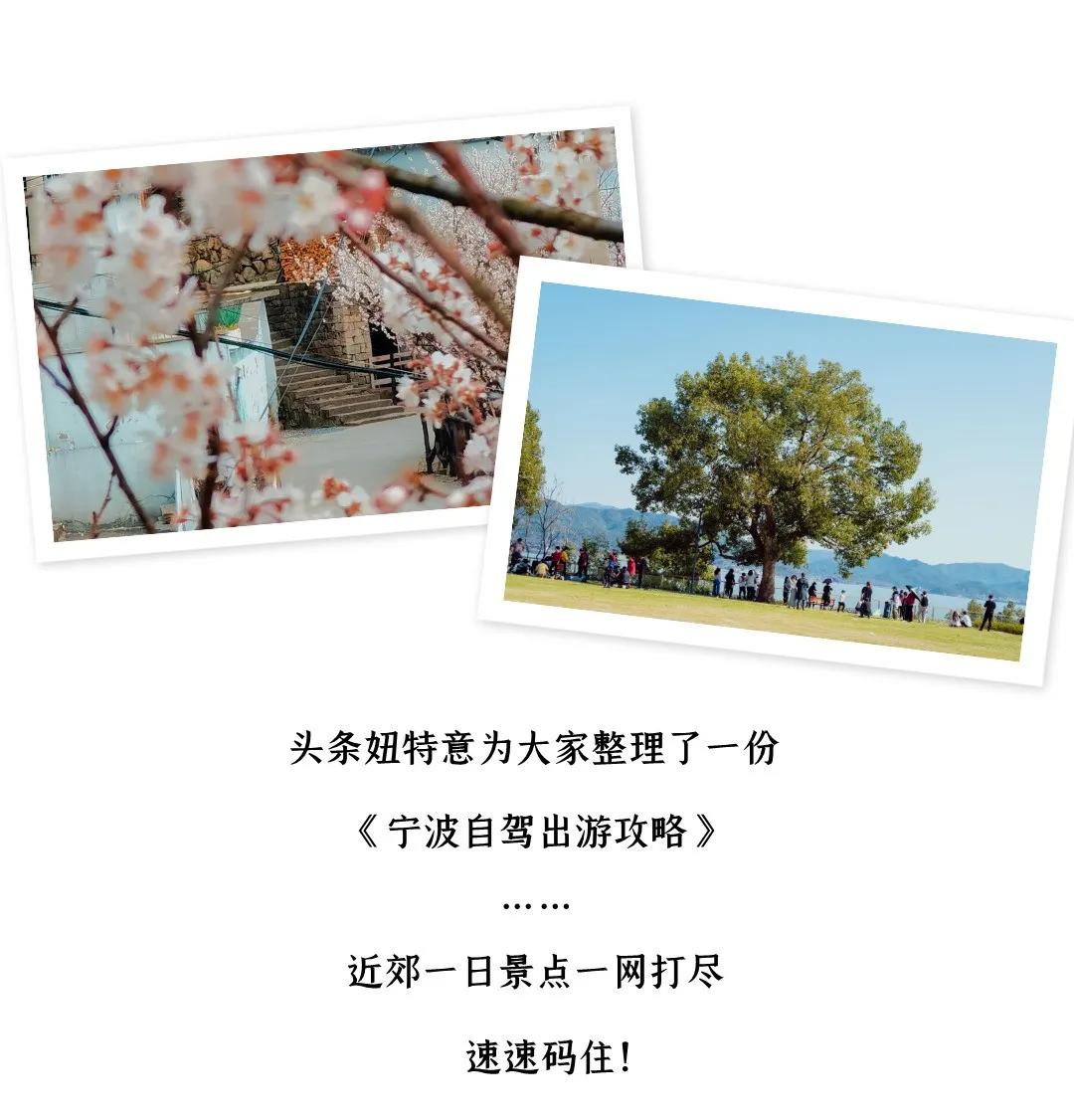 宁波周末走走,宁波旅游必去十大景点推荐自驾游