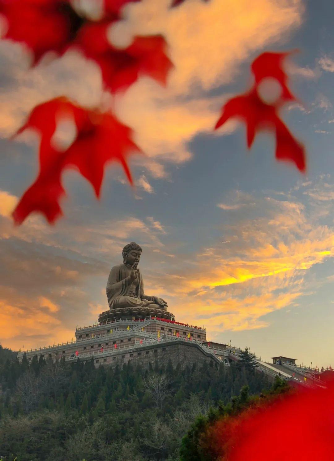 3天2夜游！它是被低估的海滨小城，藏着独属于11月的盛大美景|冬游齐鲁