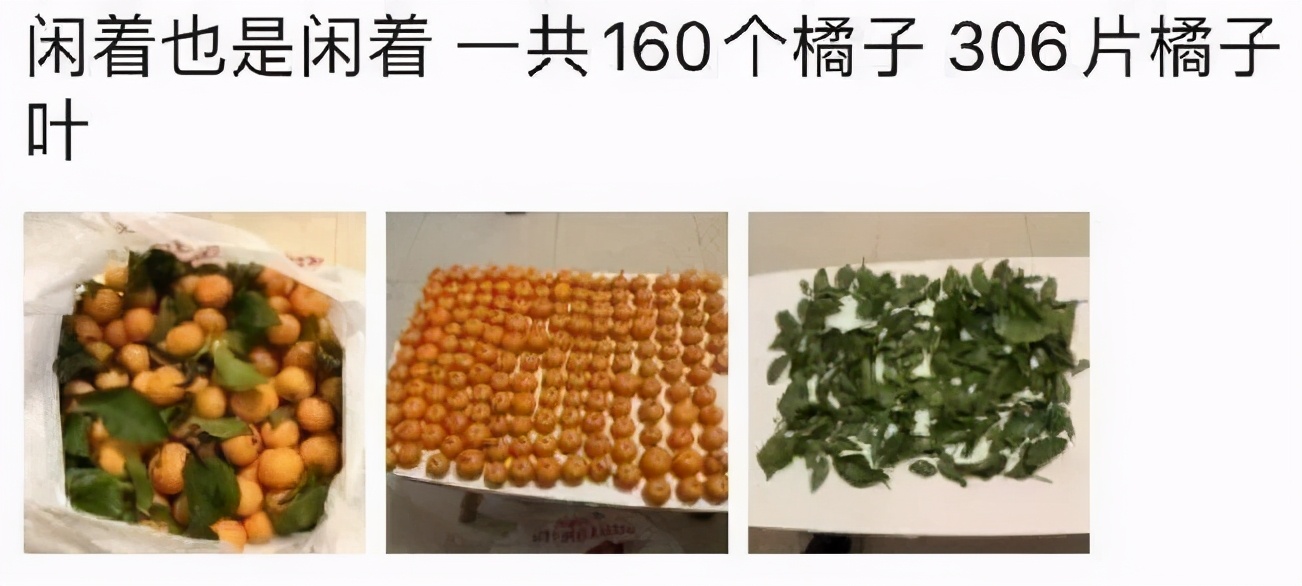 趁快递没放假赶紧买东西,趁快递没放假赶紧买东西文案