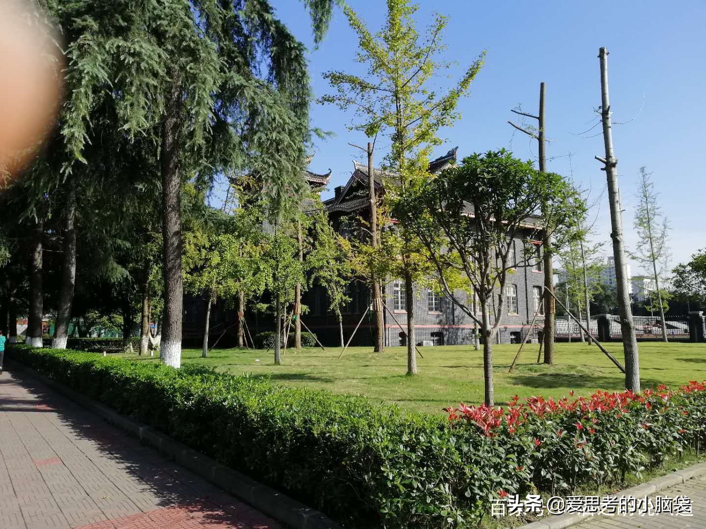 川大真实情况,川大人