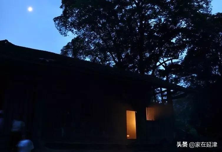 故事：延津故事：菊花泪