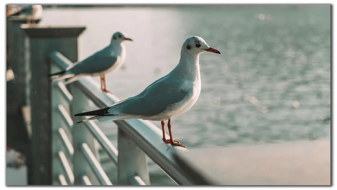 昆明周边小众打卡村落,昆明最值得去的六大村落