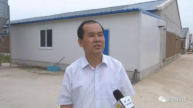 「壮丽70年奋斗新时代」肥西县农业农村局高级畜牧师董辉:开拓创新助推标准化养殖