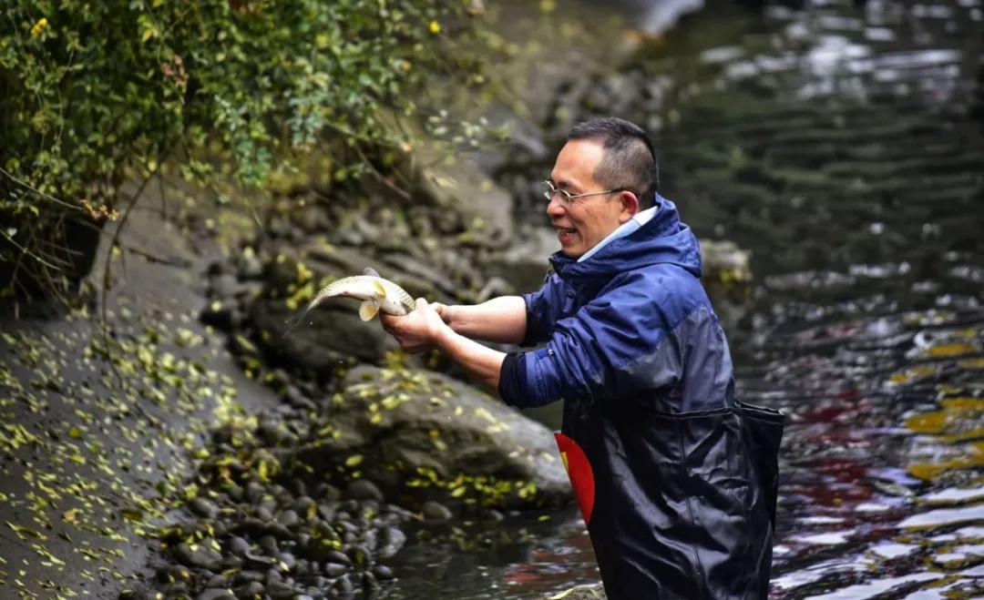 揭秘丨会玩，更会学！位于城北的这所七系学校，你了解多少？