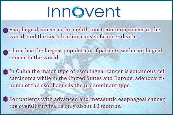 2013年癌症最新研究进展汇集,2019癌症研究治疗成果