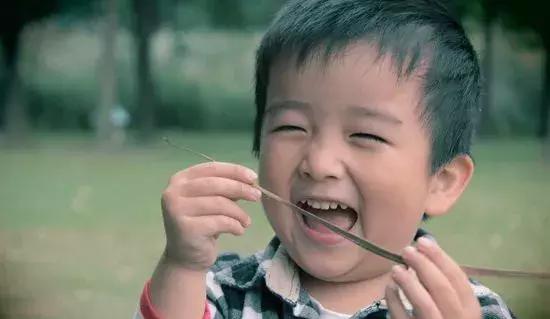 农产品广告语宣传语集锦,农产品广告经典案例