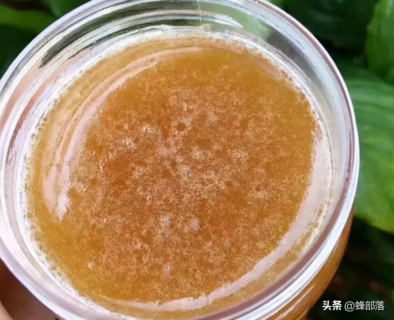 如何用矿泉水判断蜂蜜好坏,蜂蜜好不好吃