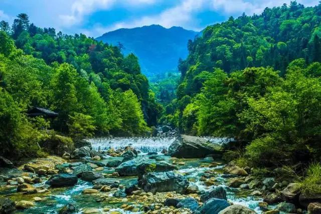 医护人员安徽景区免门票,安徽人景区免票最新政策