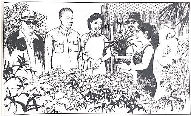 1963年王光美珍珠项链掉入缅甸大海，吴奈温以红宝石项链“赔偿”