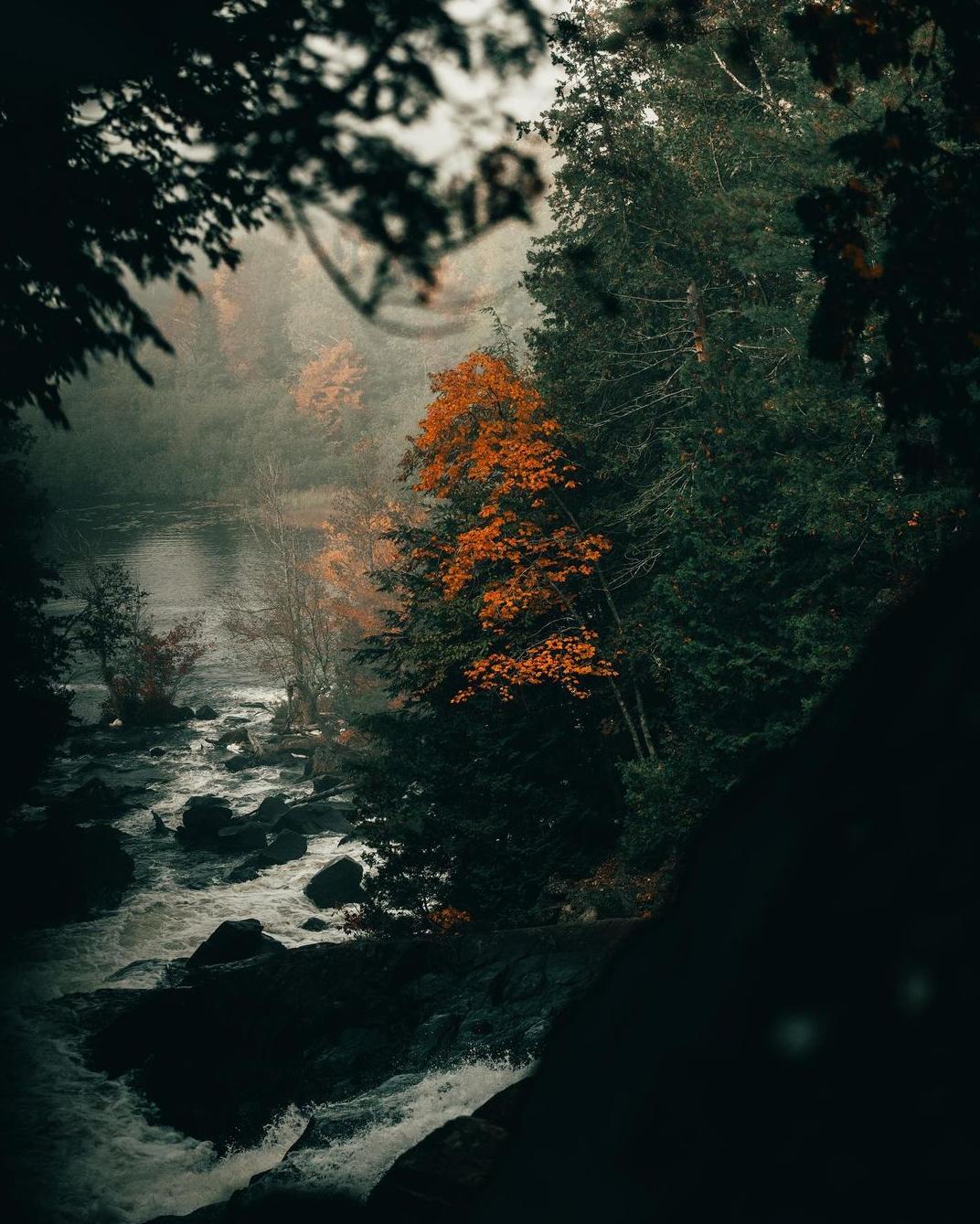 petermckinnon拍摄教程,petermckinnon用的相机