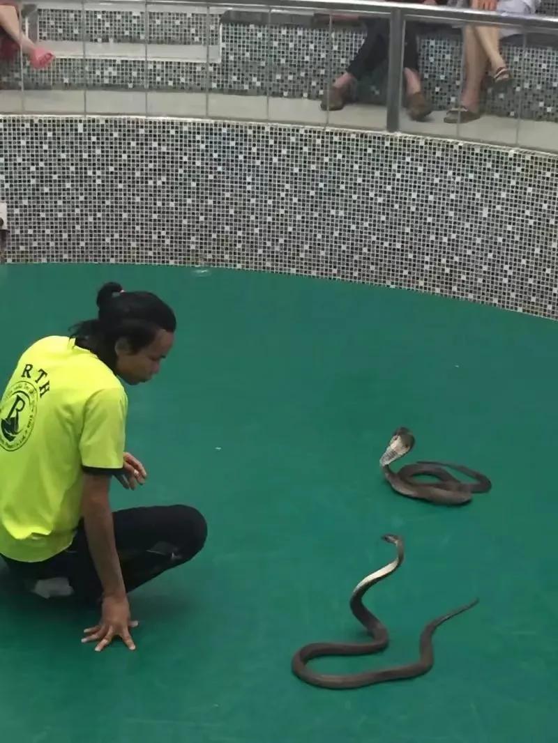 来普吉岛后感觉好难受,普吉岛最后一天购物