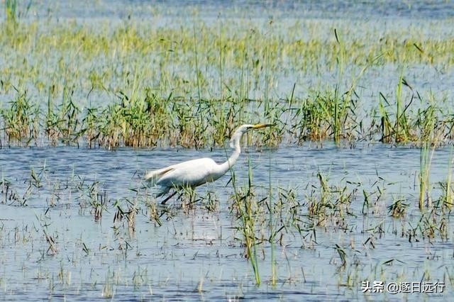 中国最大的市内湖,中国最大内湖视频