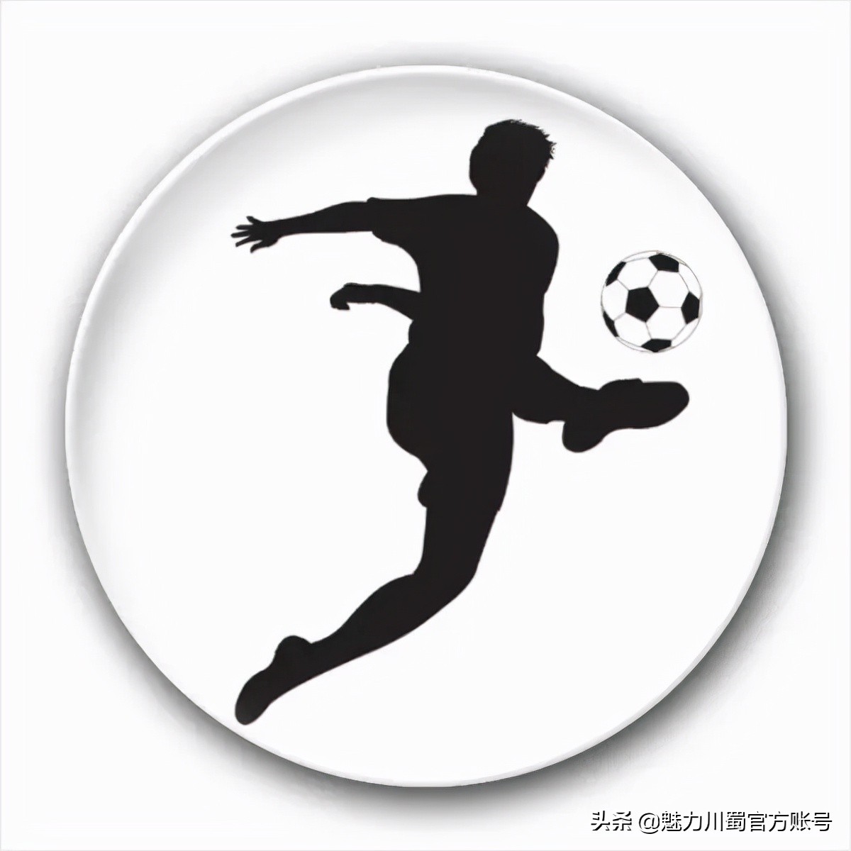 绵阳南山中学全国排名第几,绵阳南山中学进过几次全国赛