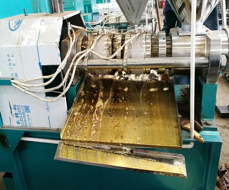 想搞副业做什么赚钱,榨油怎么赚钱