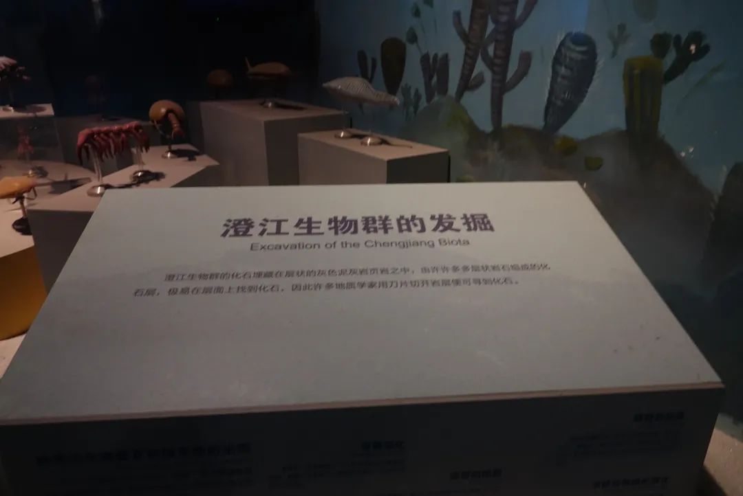 昆明一日游旅行社,昆明一日游跟团靠谱吗