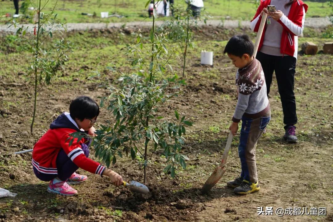 土地四季·禾下乘凉丨给孩子的大地课堂,在自然中自然生长