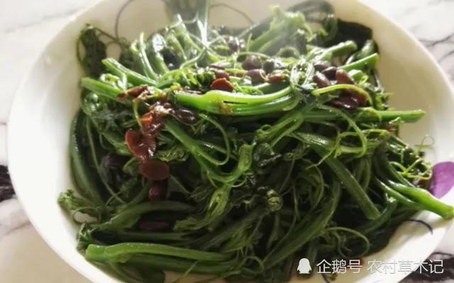 鍐滄潙缁忓父绉嶇殑鍙粈涔堢摐鍠傜尓,鐡滆嫍鐢ㄦ潵鍠傜尓