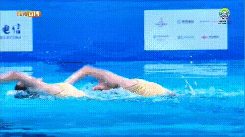 花样游泳锦标赛冠军,花样游泳世锦赛2024几块金牌