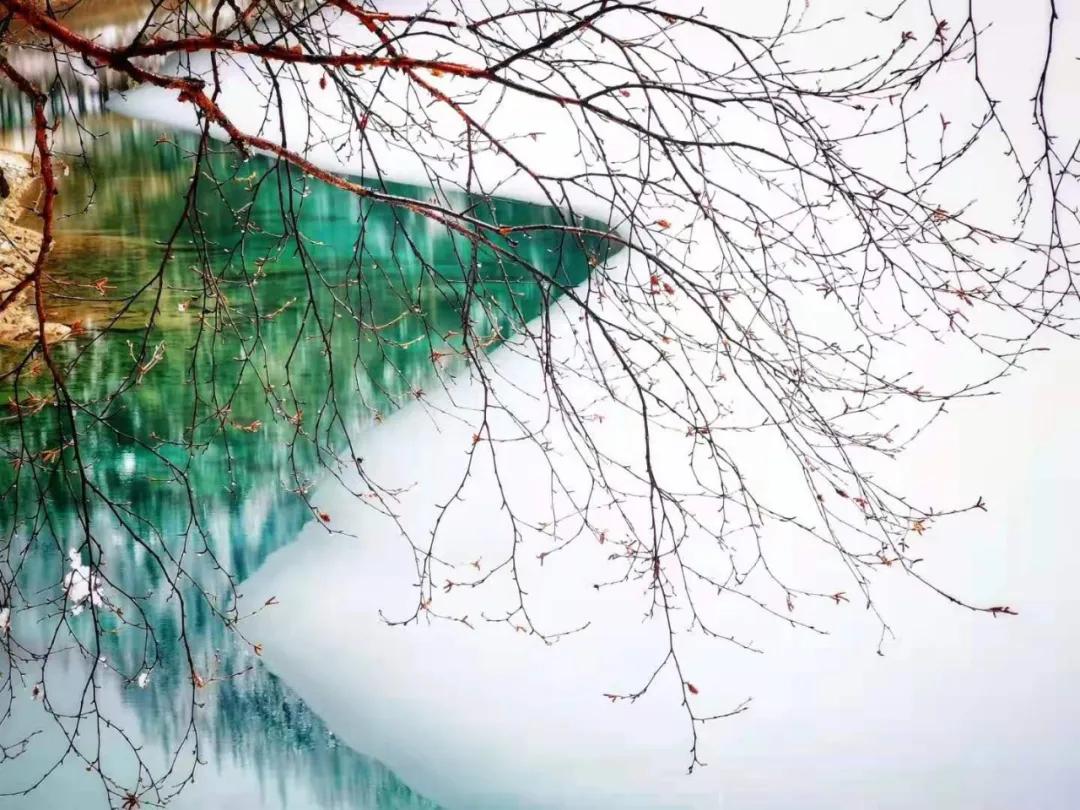 趁春意来赏油菜花海,趁春光去野游