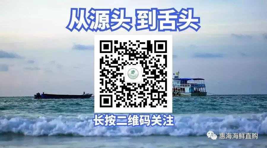 哪些海鲜适合大孩子吃,适合宝宝吃的海鲜干货有哪些