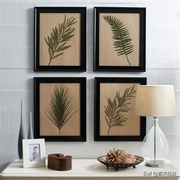 植物标本如何做简单又好看,植物能做什么手工