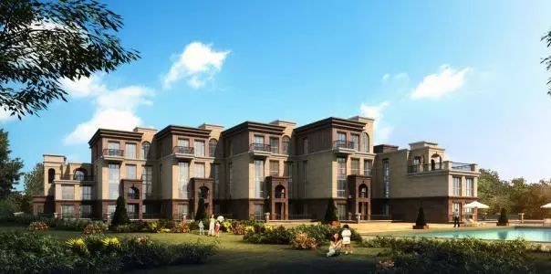 开发商非法集资可以立案吗,遇到开发商跑路该怎么办