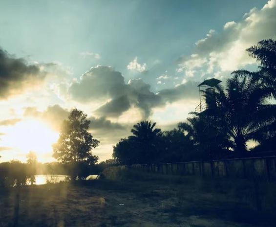 您的健康是我的心愿,您的健康就是我们最大的幸福